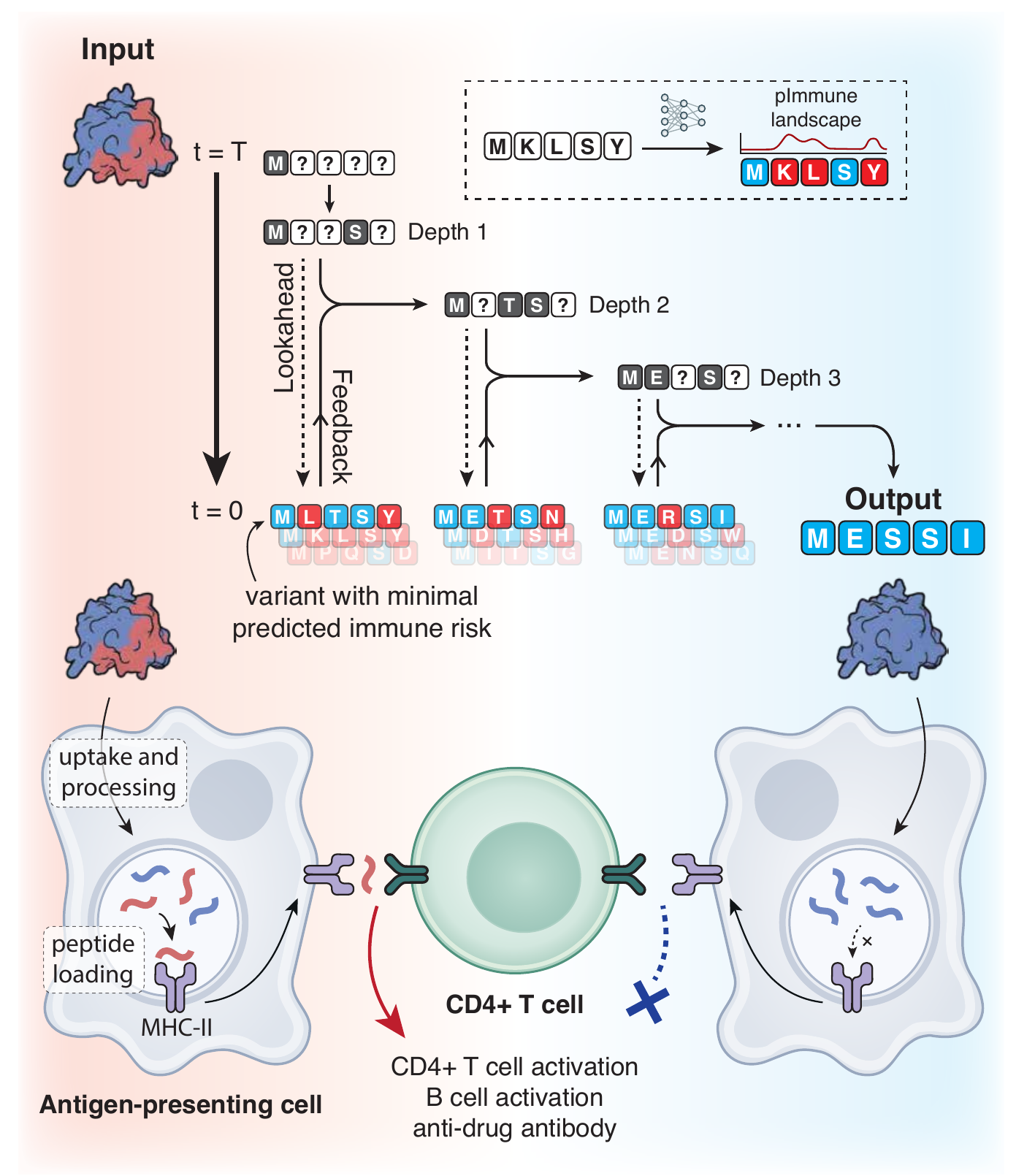 Protein Deimmunization with a Generative Diffusion Model